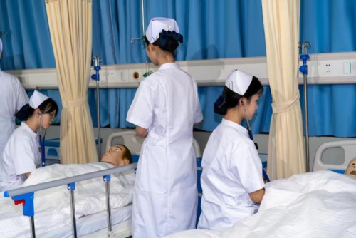 2025年中药专业（高技）