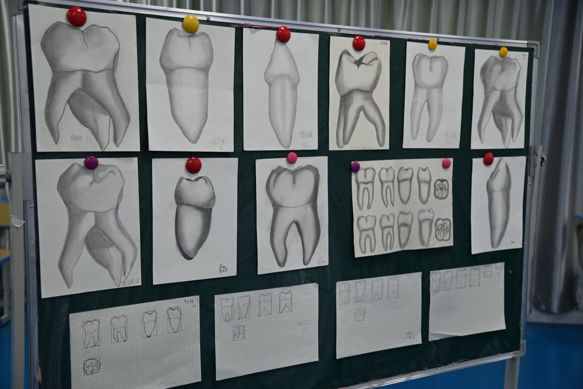 2025年口腔修复工艺专业